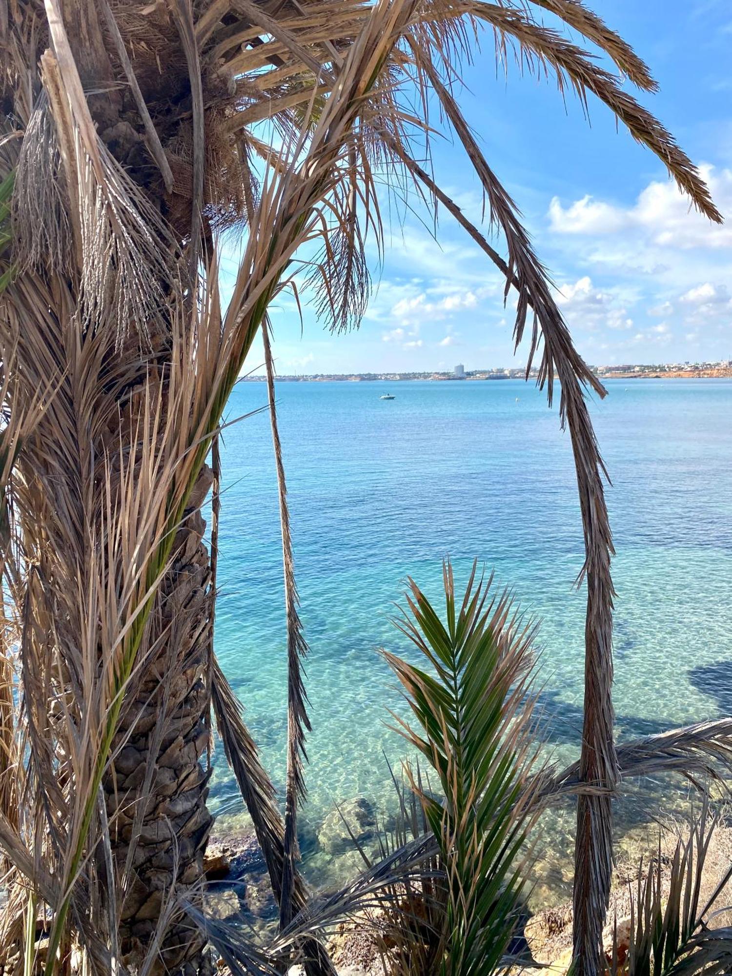 Feriehus Alicante Τορεβιέχα Εξωτερικό φωτογραφία